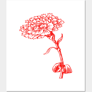 Vintage Carnation Botanical Line Art Illustration Red Ink Posters and Art